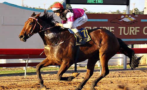 Through the Waves, with jockey Tyrone Huxham on board, wins the Zinc 96.1 Open on Saturday. Through the Waves, with jockey Tyrone Huxham on board, wins the Zinc 96.1 Open on Saturday.